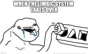 When limbic system takes over - How to write reviews your team looks forward to?